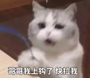 【表情包】吃你豆腐