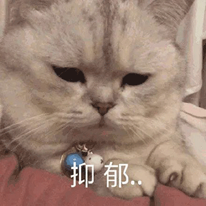 【表情包】我养你啊 妹妹