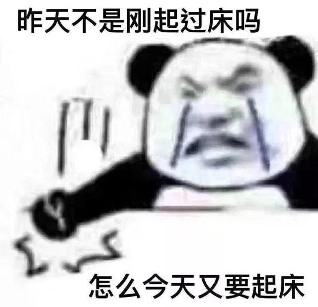熊猫头崩溃吐槽又要起床 表情包