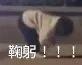模糊人影鞠躬求饶 - 沙雕表情包
