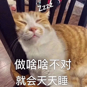 做啥啥不对就会天天睡 - 猫meme表情包