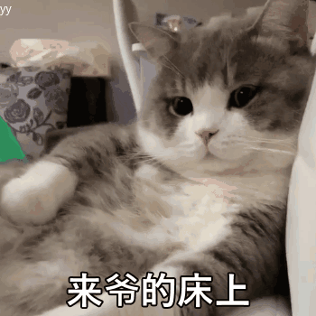 傲娇猫咪霸道邀请来爷的床上 表情包