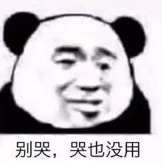 熊猫头嘲讽别哭哭也没用 - 熊猫头表情包