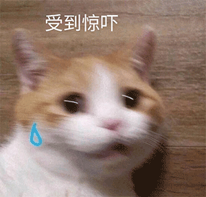 受到惊吓流冷汗的橘猫 - 猫meme表情包