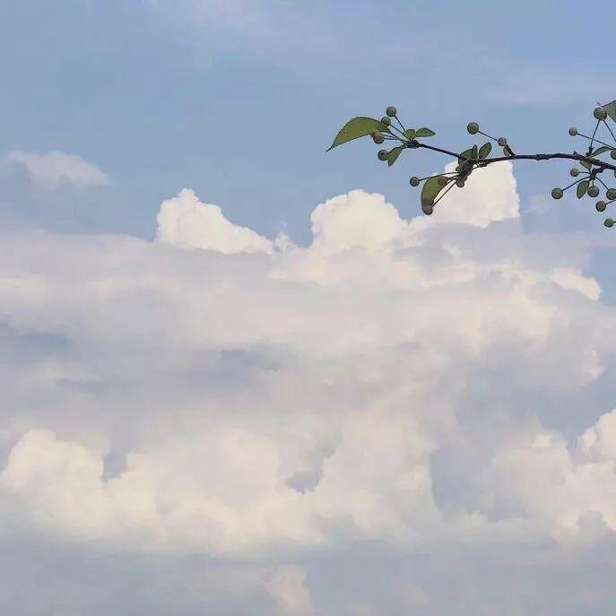 清新治愈的蓝天白云风景 头像