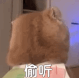 橘猫探头偷听隔壁八卦 - 猫meme表情包