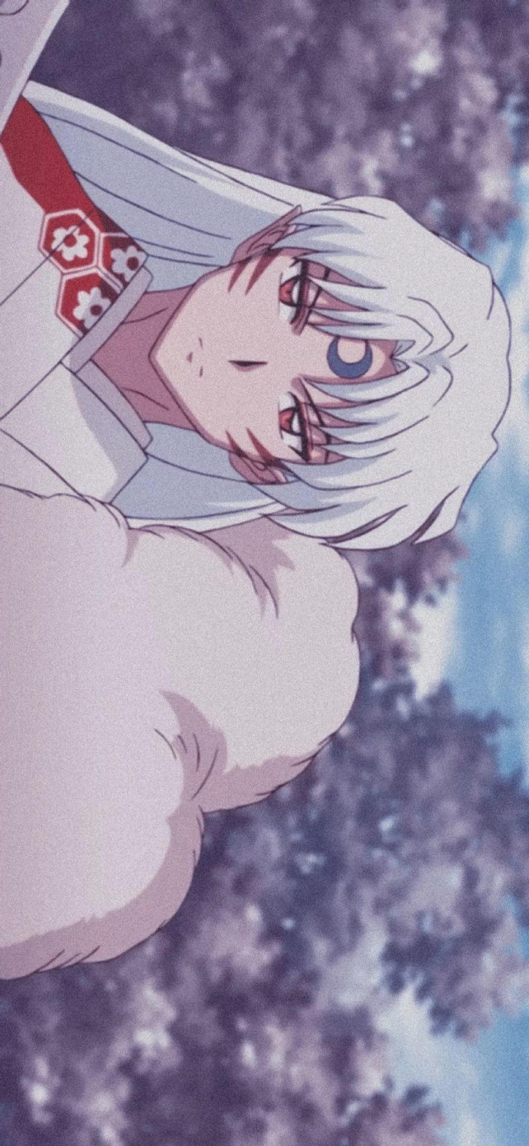 高冷杀生丸侧脸唯美特写 壁纸