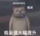 猫咪抽烟痴呆值大幅提升 - 猫meme表情包