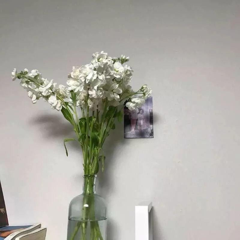 玻璃瓶里的白色花束 头像