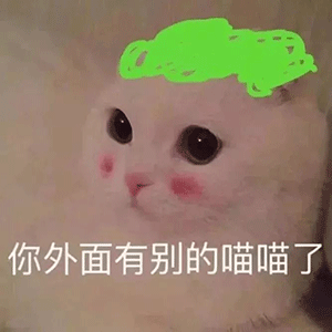 绿毛猫质问你有别的喵喵了 表情包