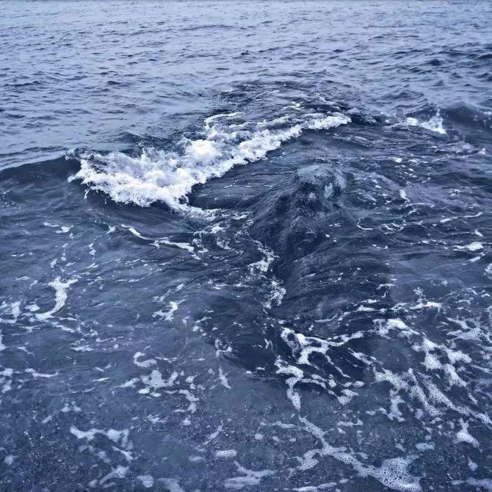 深蓝色的海面与白色浪花 头像