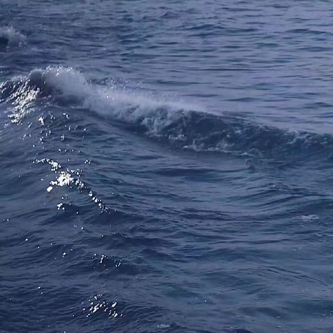 深蓝色海浪波光粼粼 头像