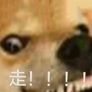 狗狗急切大喊快走 - 狗狗表情包