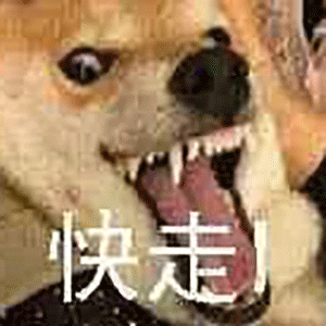 凶恶柴犬大喊快走 表情包