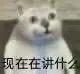 一脸懵逼的猫问现在在讲什么 表情包
