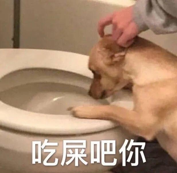 狗闻马桶配文吃屎吧你 表情包