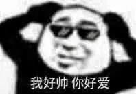 戴墨镜抱头熊猫头我好帅你好爱 表情包
