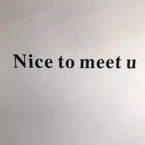 Nice to meet u 很高兴认识你 - 文字梗表情包