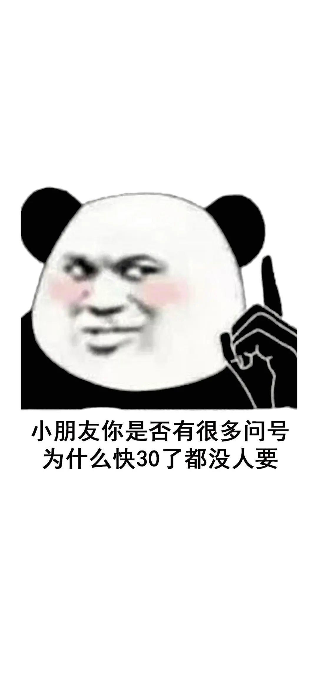 熊猫头指点30岁没人要 - 熊猫头壁纸