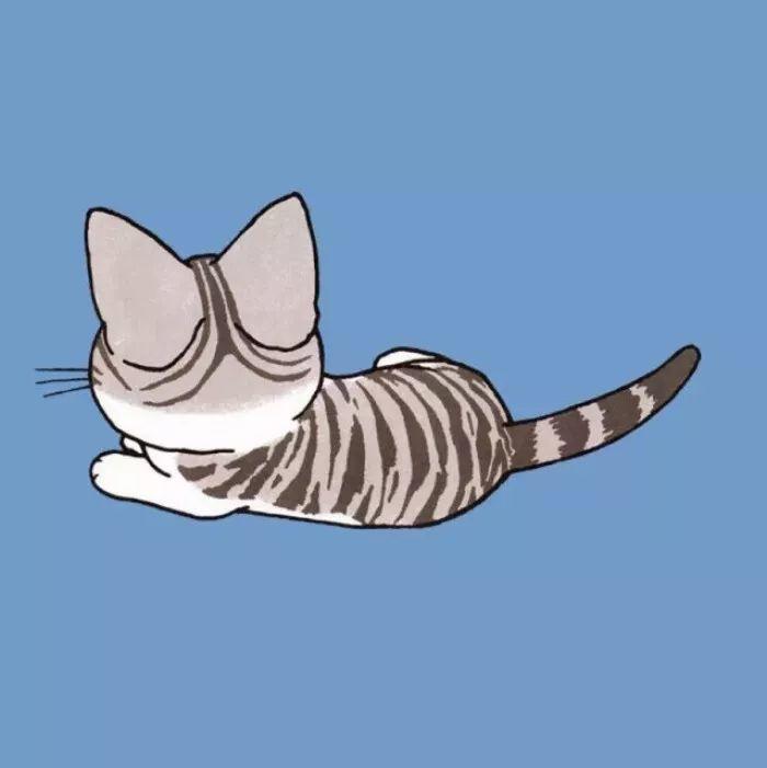 一只慵懒的条纹猫 头像