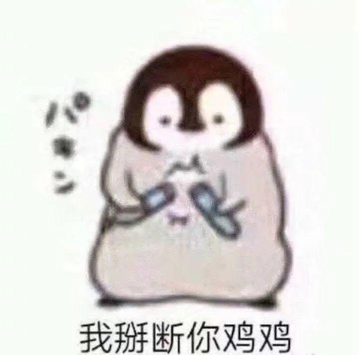 裹被子的企鹅威胁掰断鸡鸡 表情包
