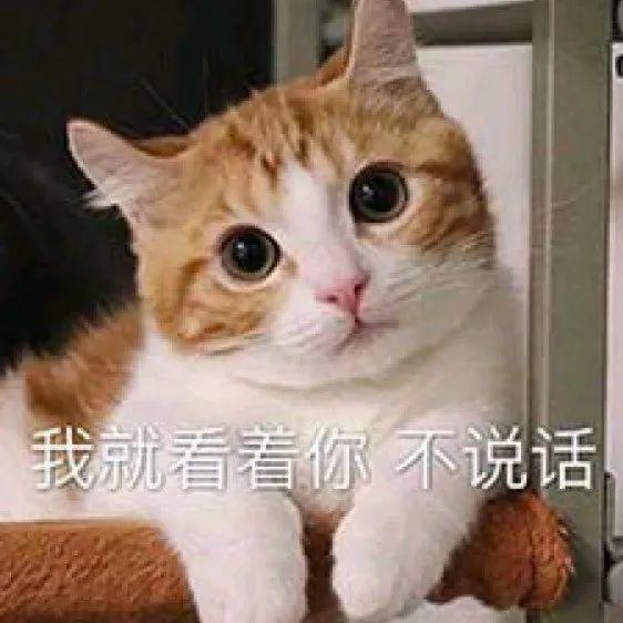 我就看着你不说话 表情包