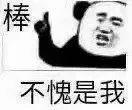 熊猫头自夸棒不愧是我 - 熊猫头表情包