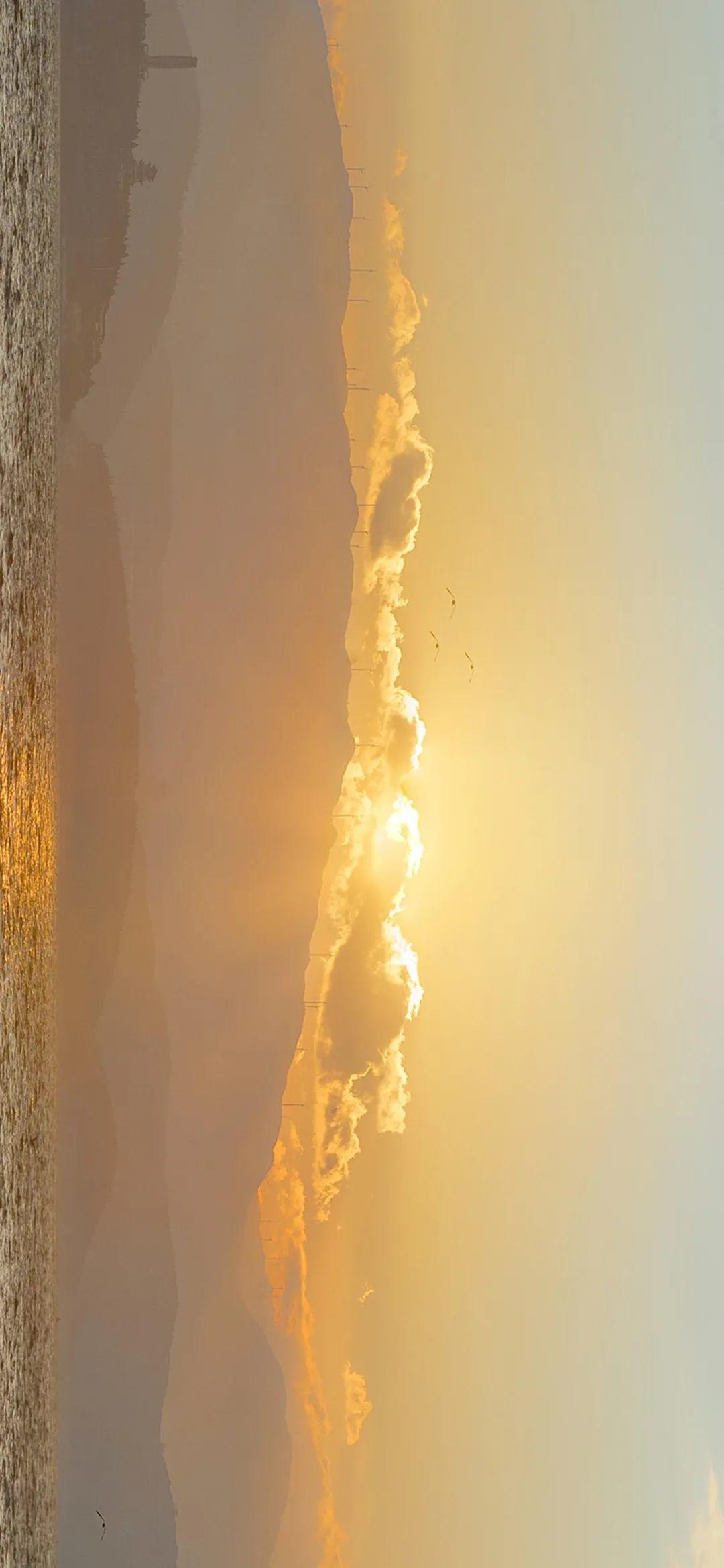 夕阳余晖洒满湖面与飞鸟 壁纸
