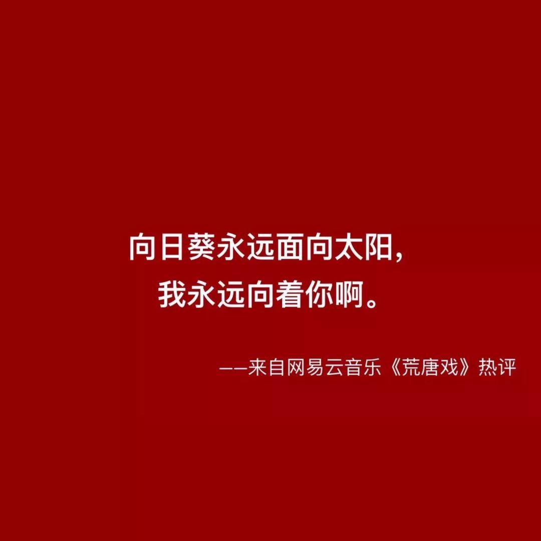向日葵永远面向太阳我面向你 - 文字梗表情包
