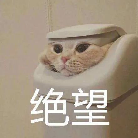 头被卡住时的绝望瞬间 表情包