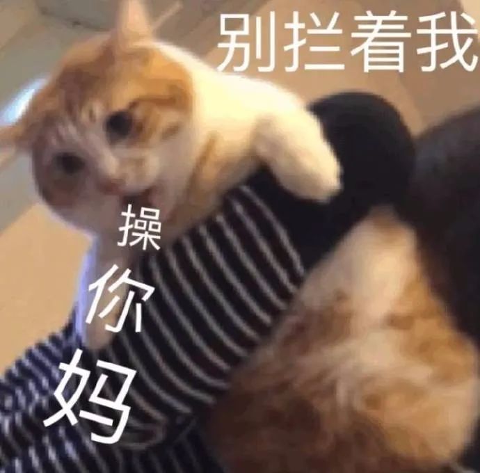 别拦着我我要操你妈 表情包