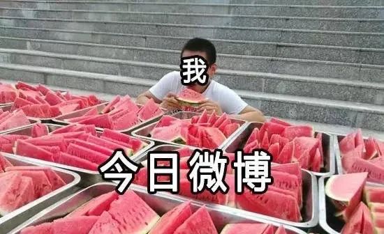 今日微博全是瓜我全吃了 表情包