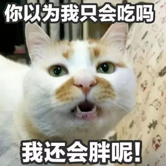 你以为我只会吃吗我还会胖呢 表情包
