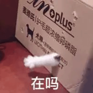 狗钻箱子里问你在吗 表情包