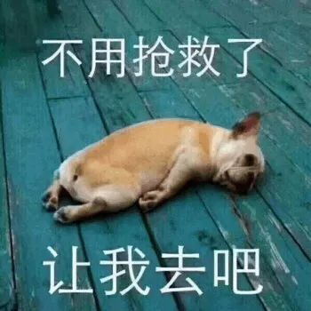 不用抢救了让我去吧的摆烂狗 表情包