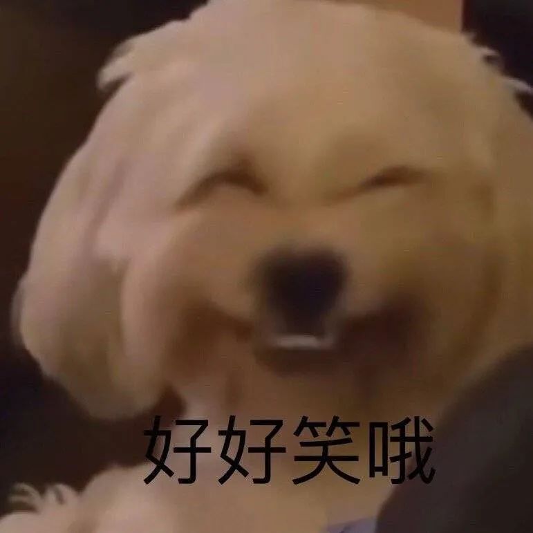 狗狗眯眼笑好好笑哦 表情包