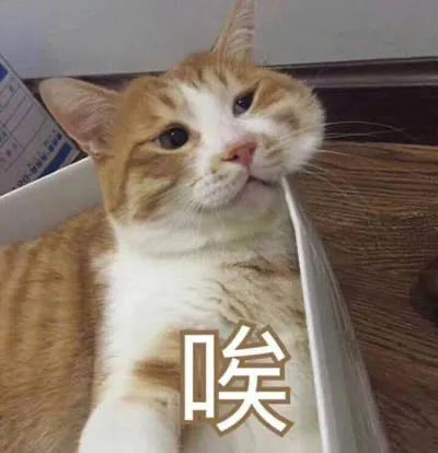 橘猫叹气表示无奈 表情包