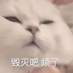 白猫一脸嫌弃配文毁灭吧烦了 表情包