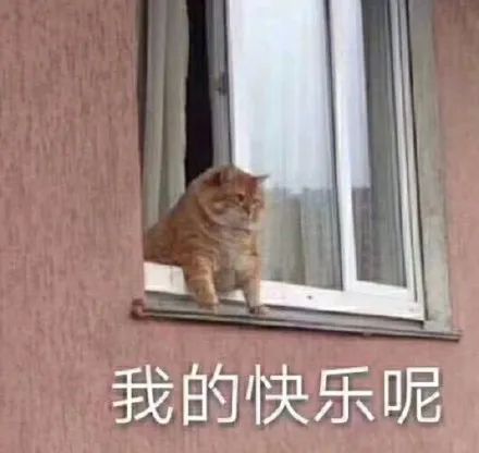 橘猫趴在窗台问我的快乐呢 表情包