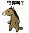 魔性小马反问怕你吗 表情包