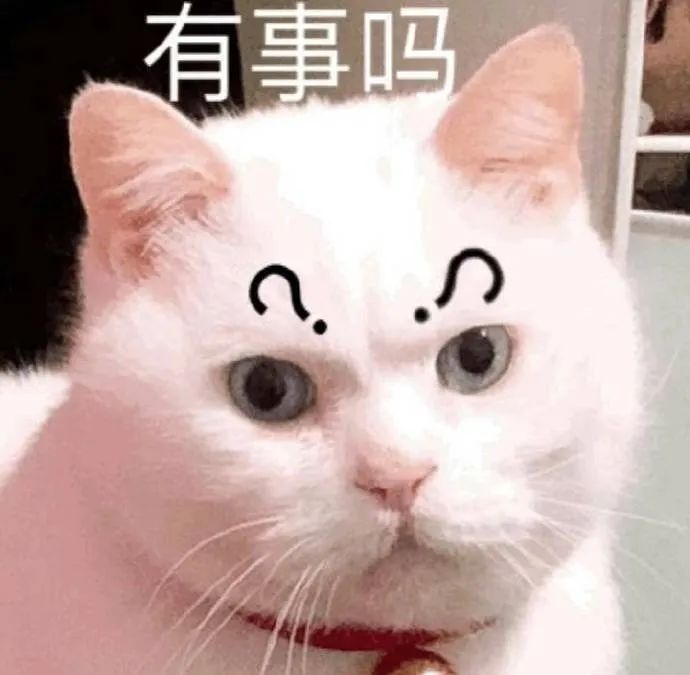 一脸懵逼的白猫问有事吗 表情包