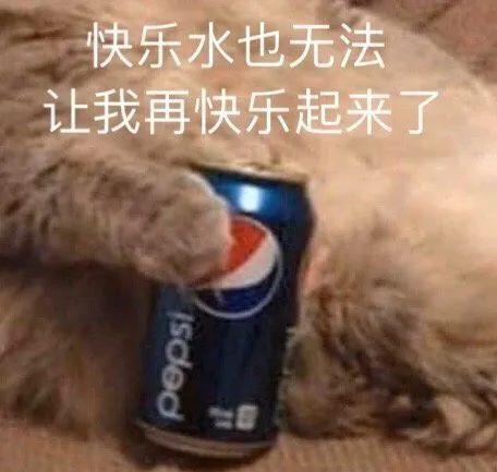 抱着百事可乐的狗说快乐水没用 表情包