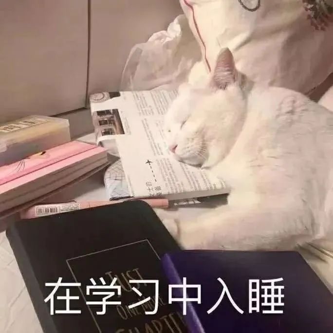 白猫趴书桌上睡觉 - 猫meme表情包