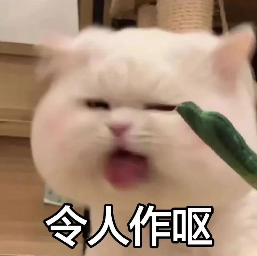 白猫对着黄瓜说令人作呕 表情包