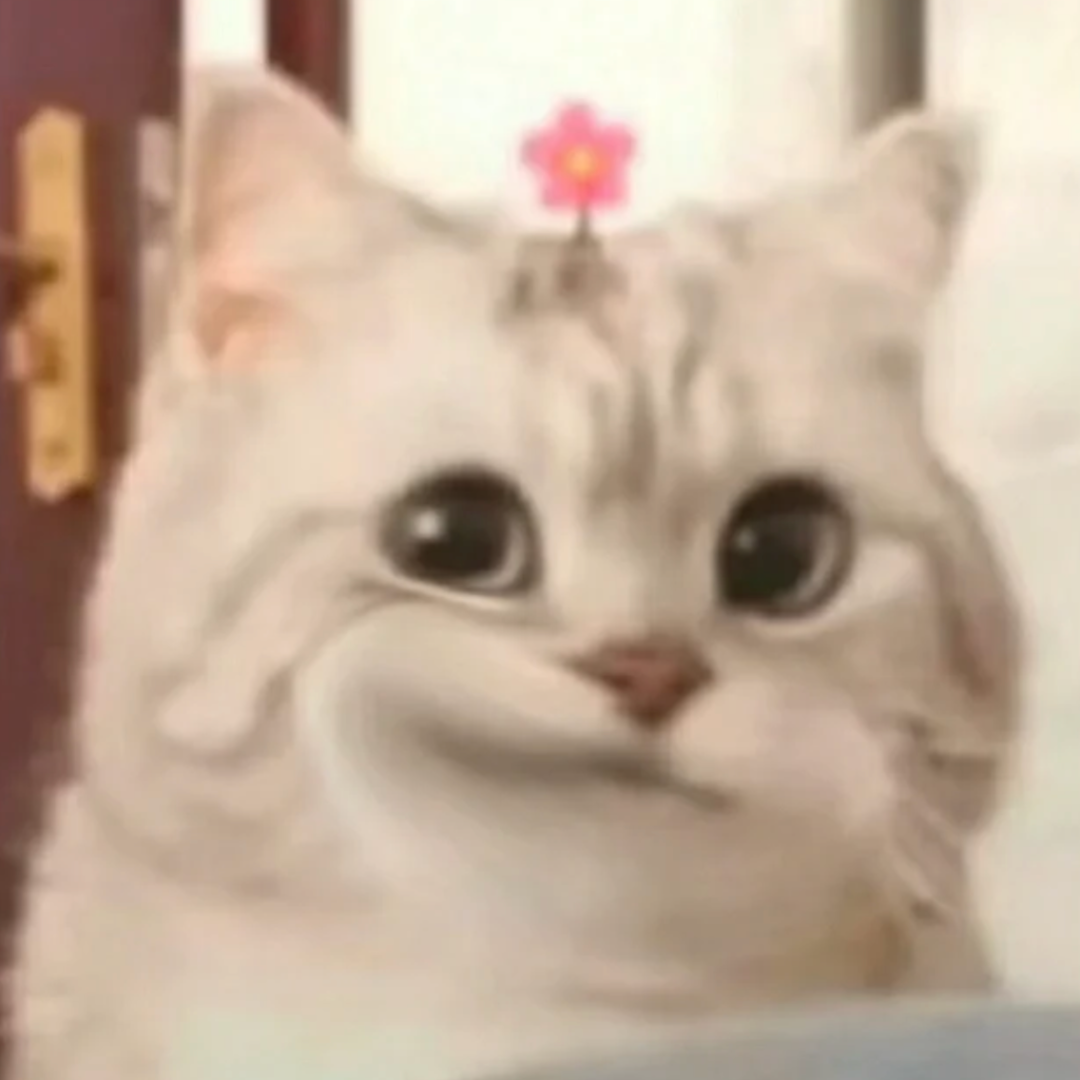 头顶小花委屈巴巴的猫咪 头像