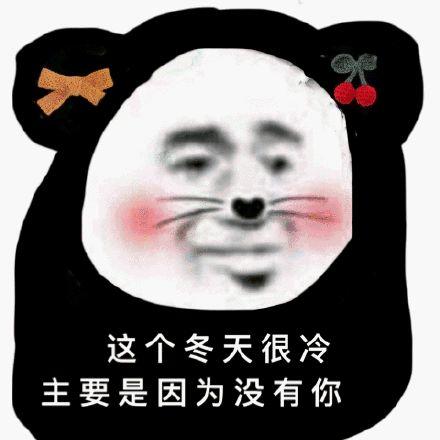 熊猫头土味情话这个冬天很冷 表情包