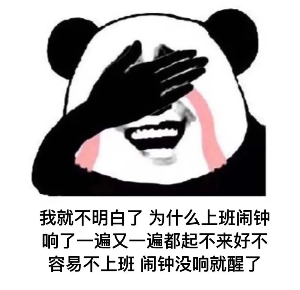 上班起不来不上班却早醒的困惑 - 熊猫头表情包