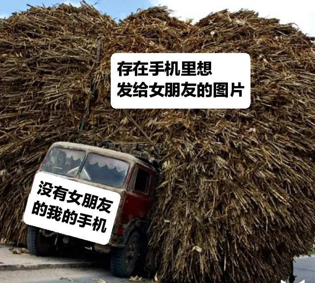 单身狗手机里的图堆积如山 表情包