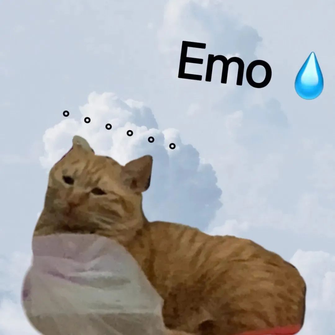 蓝天白云下的emo小猫状态 头像