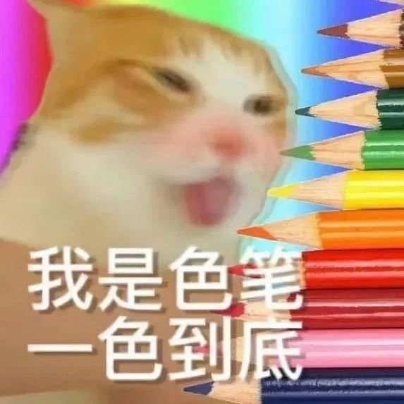 我是色笔一色到底的猫 表情包